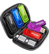 WesData 5 Pack 64GB USB Flash Drive and 2 Pack USB C Adapters in a Case, Thumb Drives Memory Stic...