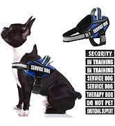 Dog Vest Harness and Patches Set, Animire in Training Service Dog Harness with 8 Dog Patches, Ref...