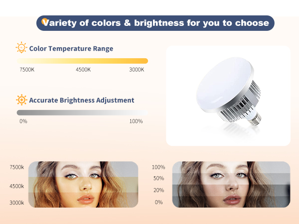 Photography Lighting Kit