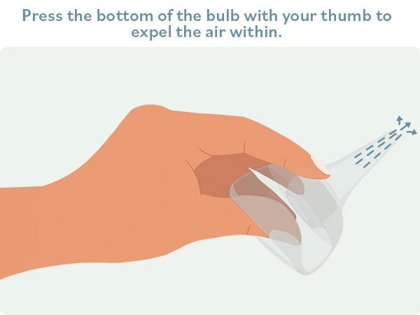 Bulb Step 1