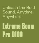 Boom Pro D100