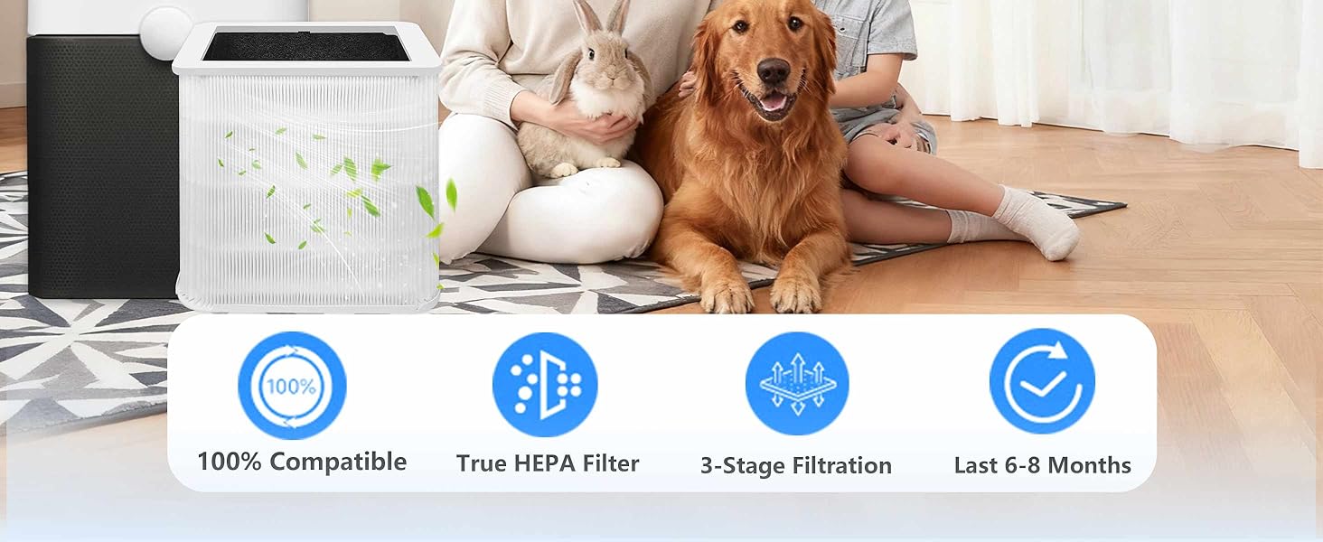 211+ Replacement Filter Compatible with Blue Pure Blue Pure 211+