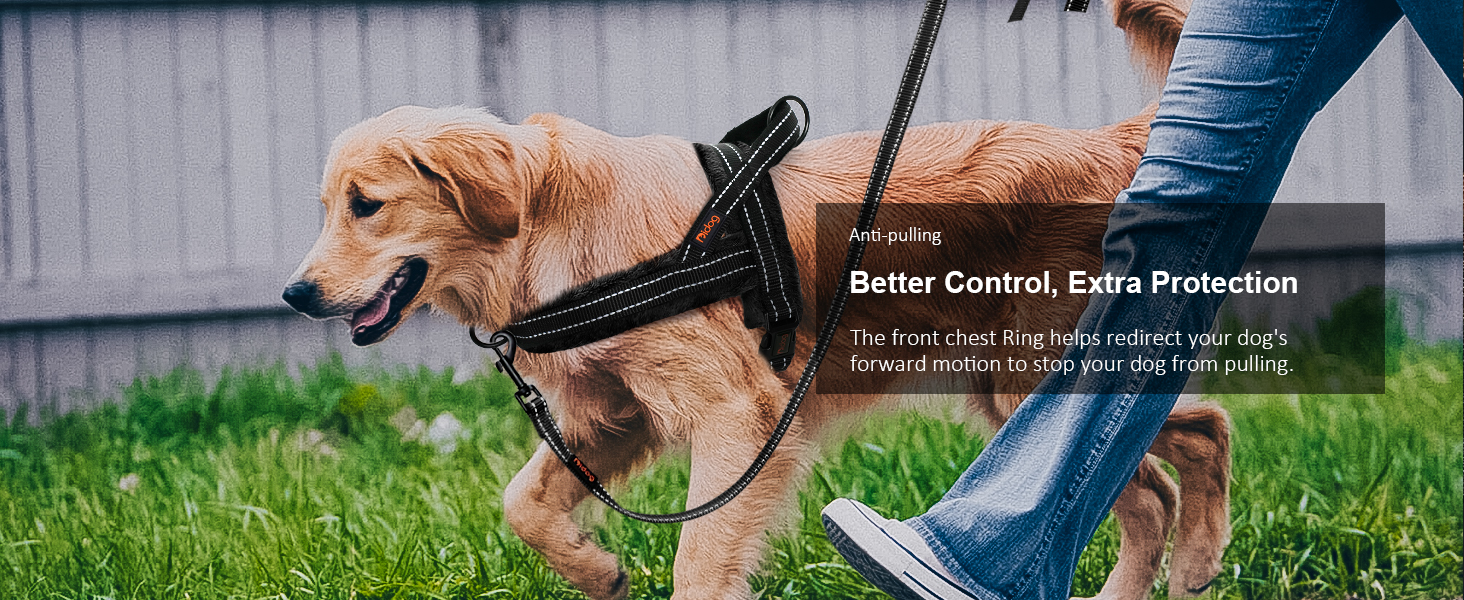 no pull dog harness