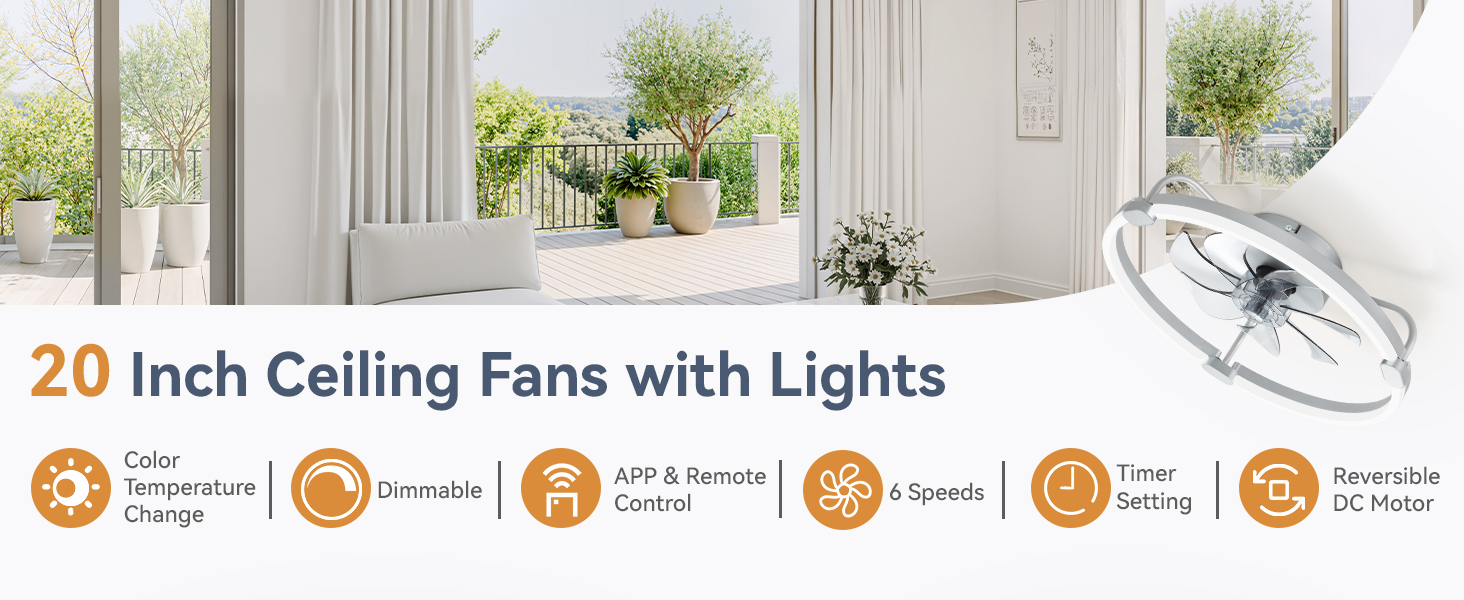 ceiling fan with light