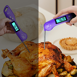 thermometer cooking