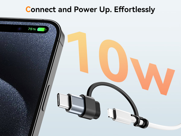 Lightning to USB C Adapter