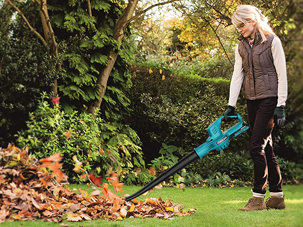 electric leaf blower cordless