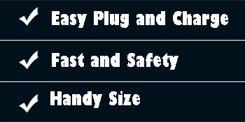 boat battery charger auto charger 6v lifepo4 charger