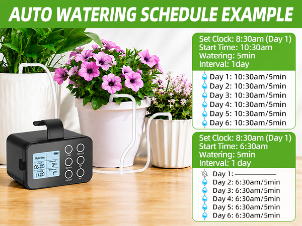 indoor plant watering system