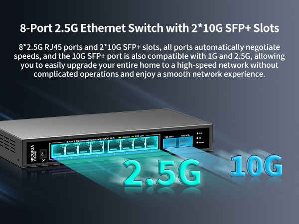 2.5g switch