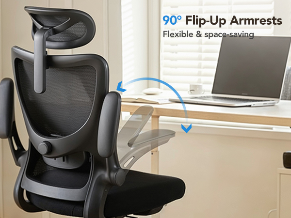 Ergonomic Office Chair