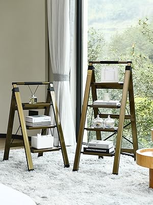LADDER