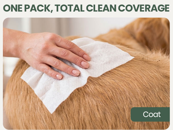 Bark &amp;amp; Clean