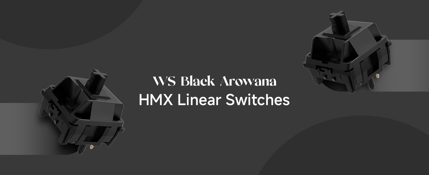 HMX SWITCHES