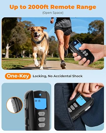 shock collar for dogs 8