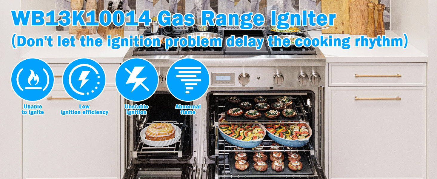 WB13K10014 Electrode Kit