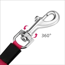 retractable dog leash