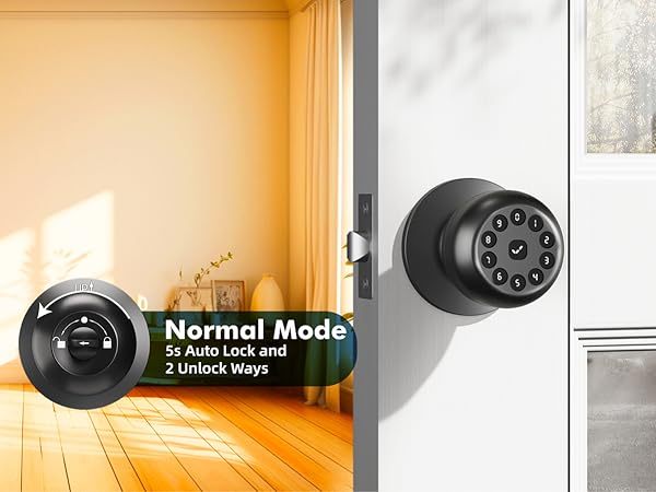 Normal Mode Smart Door Lock