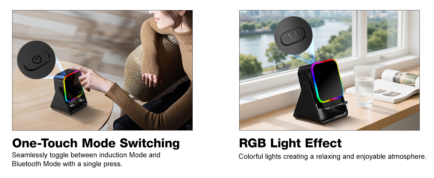 Wireless Induction Speaker