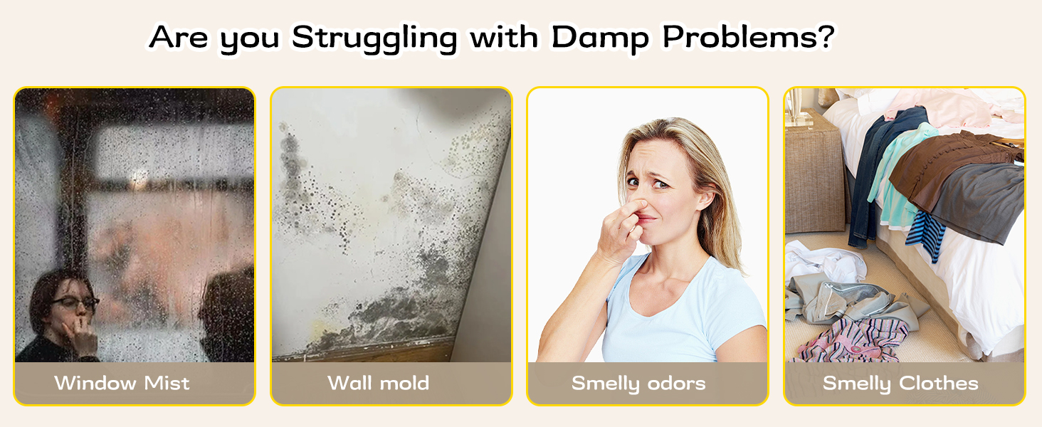 small dehumidifier