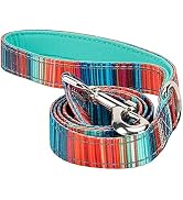EcoBark Dog Leash - Soft &amp; Reflective Comfort Leash with Padded Handle - Strong Durable Heavy Dut...