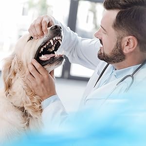 dentist tools to clean your teeth