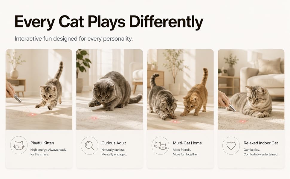 Laser toy for kittens adult cats multi cat homes and indoor cats with interactive play sessions