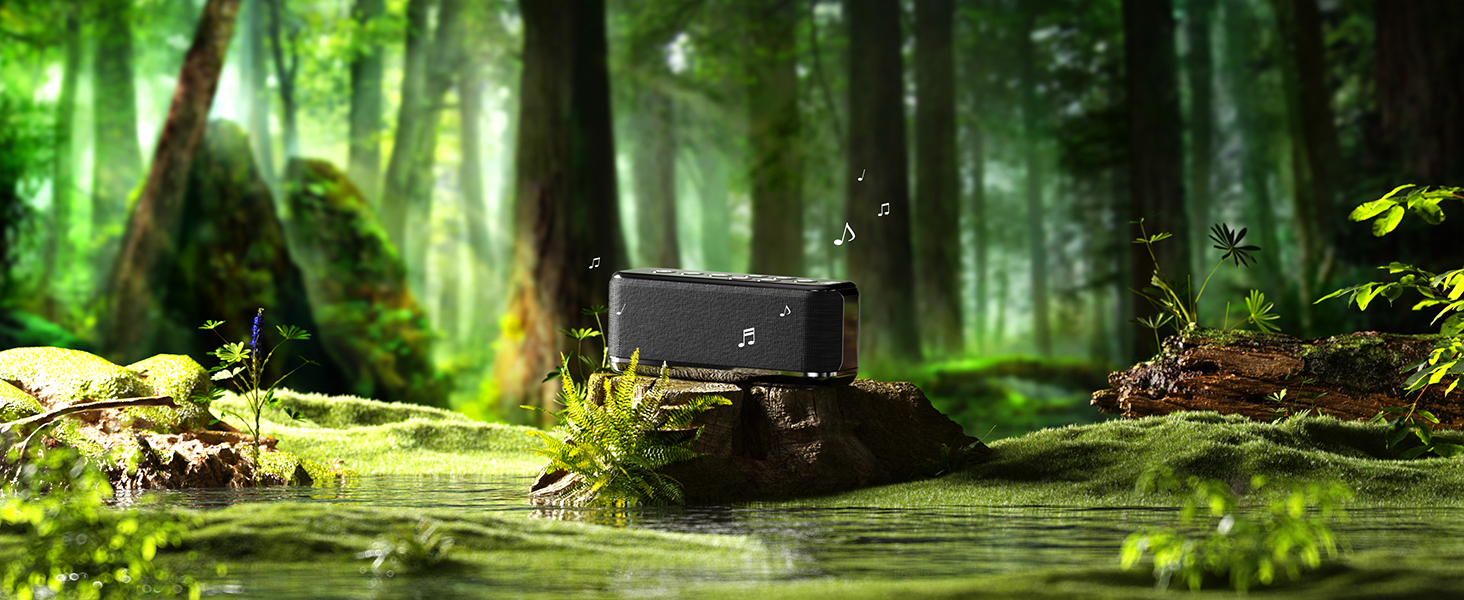 Forest Sound