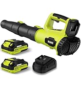 Leaf Blower, 21V Cordless Electric Blower with 2 2.0Ah Batteries and 1 Hour Fast Charger, Lightwe...