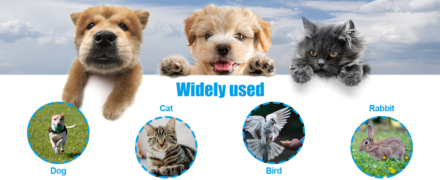 pet training clicker