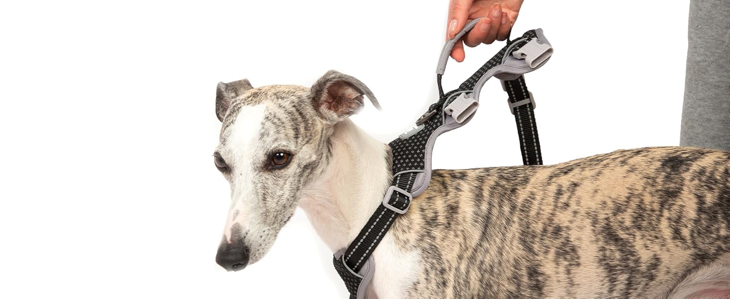 escape proof dog harness