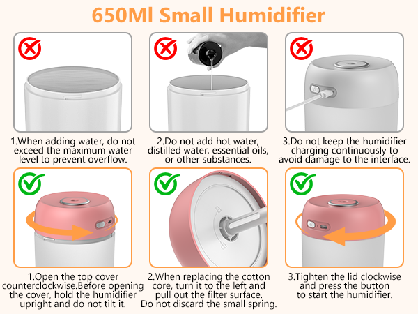plant humidifier indoor