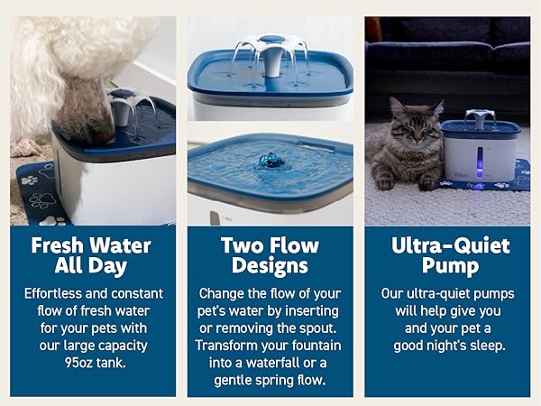 water fountain for cats inside
