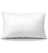 OTOSTAR Throw Pillow Insert, 12 x 20 Cushion Inner Soft Fluffy Plump Stuffer Cushion Pad White De...