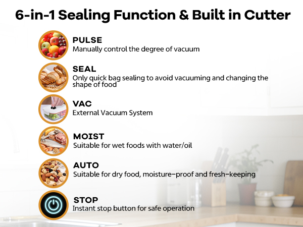 vacuum sealer for food