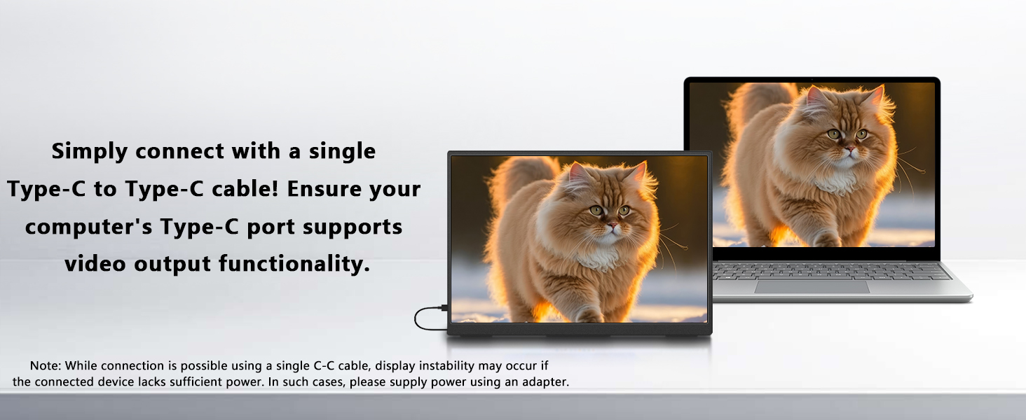 Portable Monitor 10.5&amp;#39;&amp;#39;