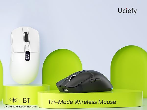 mouse