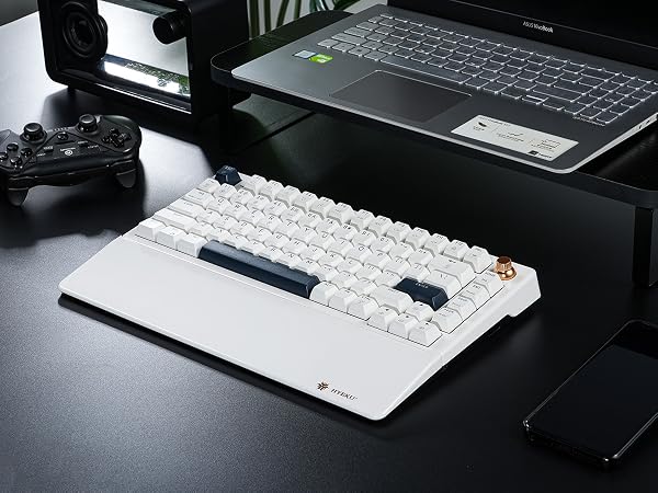 Hexgears E2sPro Mechanical Gaming Keyboard with Wrist Rest