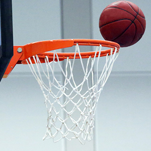 Basketball net