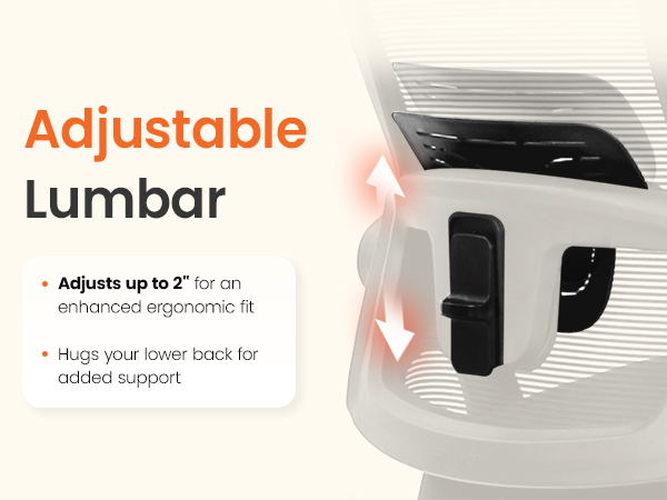 lumbar support