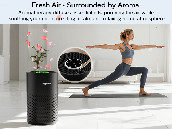 hepa air purifiers for home