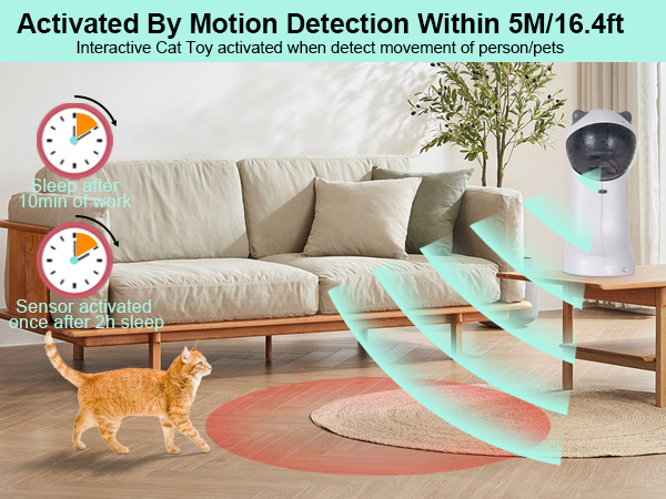 Motion Sensor
