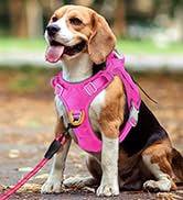 No Pull Tactical Dog Harness