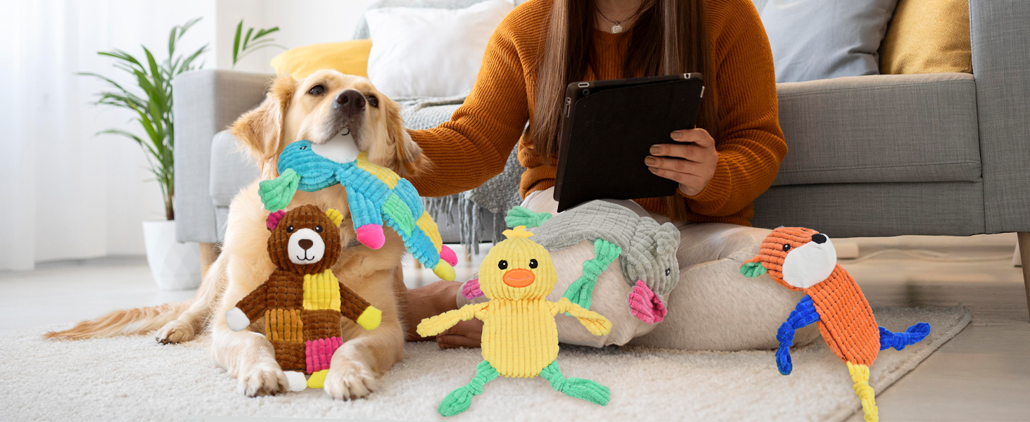 dog toys for aggressive chewers