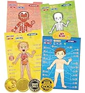 BEST LEARNING i-Poster My Body - Interactive Educational Human Anatomy Talking Game Toy | Learn B...