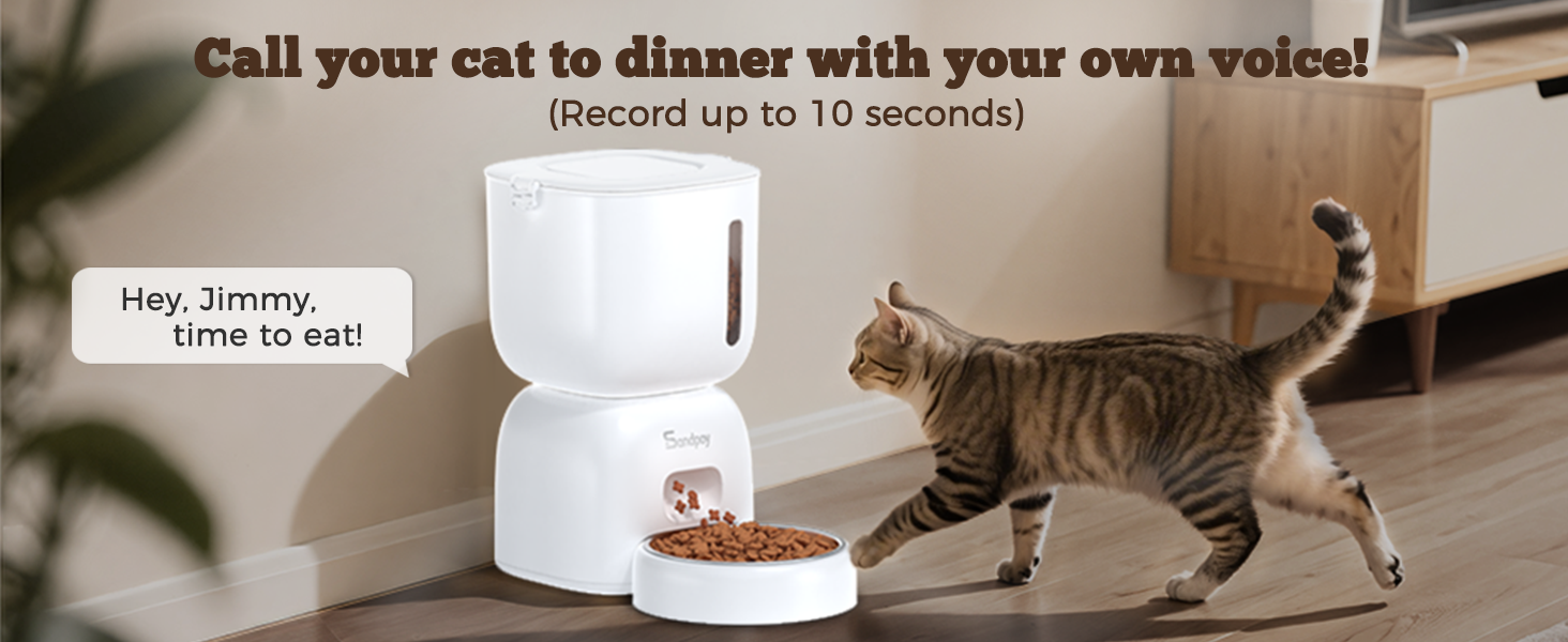 Automatic Cat Feeder