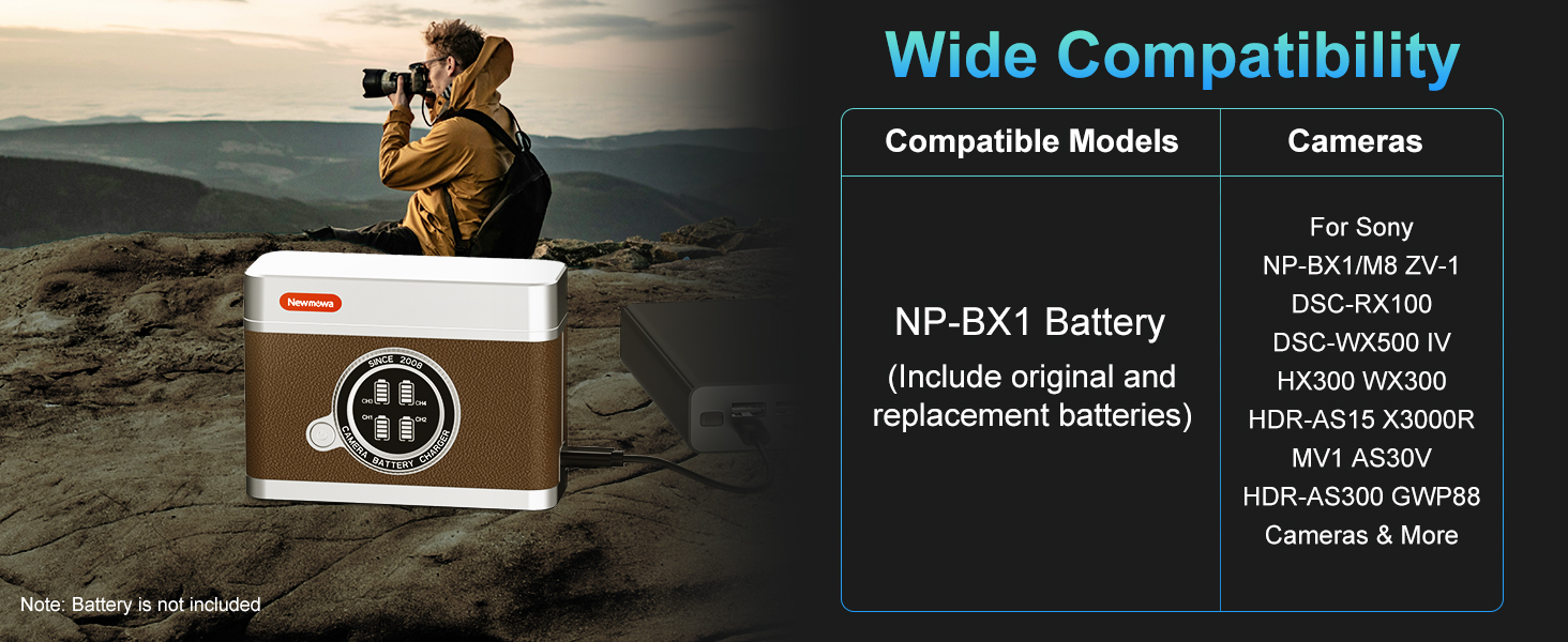 np-bx1 battery charger