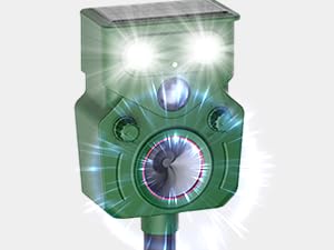 Ultrasonic &amp;amp; Motion Detection