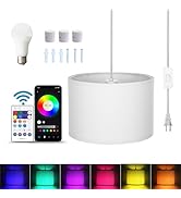 ZSLAIFU 15FT Hanging lamp with Switch,White Hanging Lights with Plug in Cord, Pendant Lamp with R...