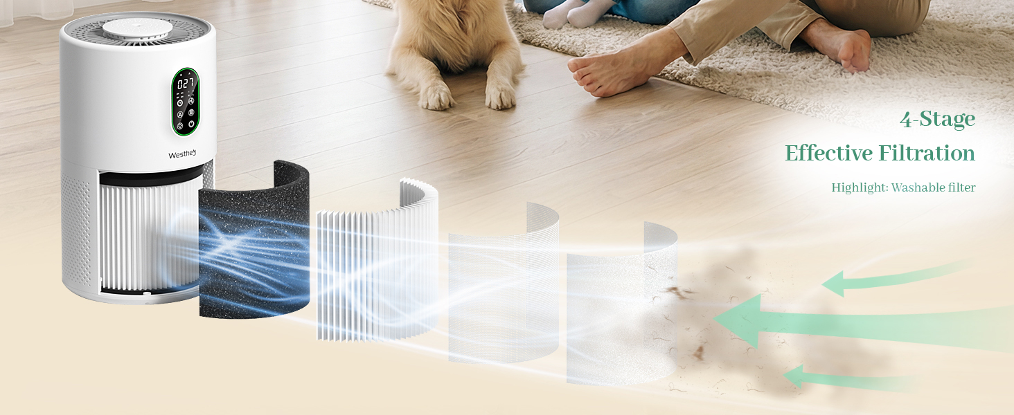 air purifier with washable filter